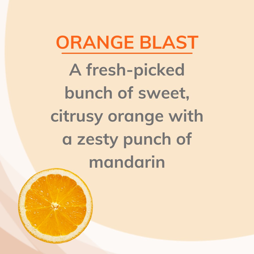 Citrus Magic Fresh Orange Blast Air Freshener