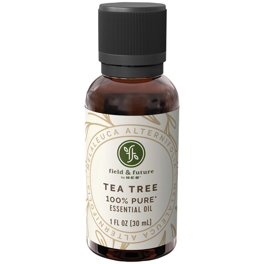 Field & Future by H-E-B Tea Tree Essential Oil