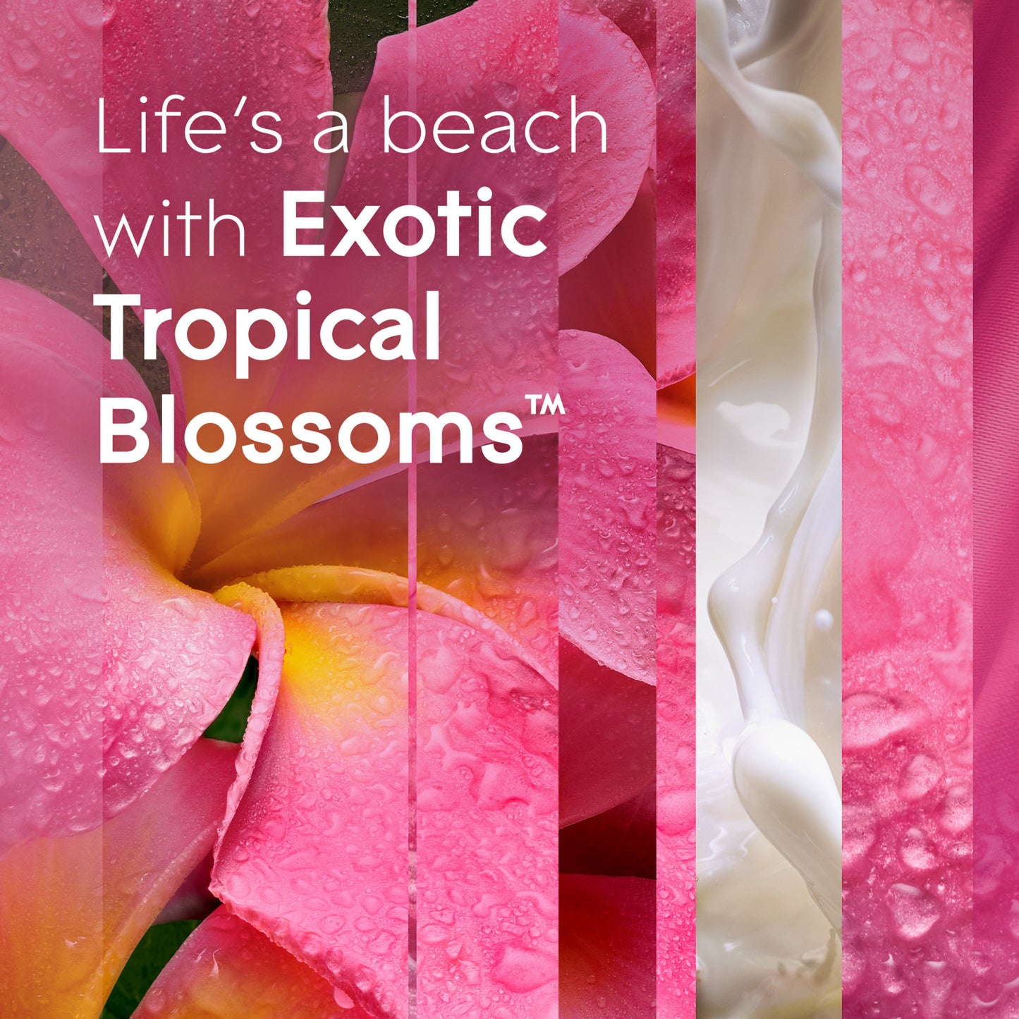 Glade PlugIns Scented Oil Air Freshener Refills - Exotic Tropical Blossom