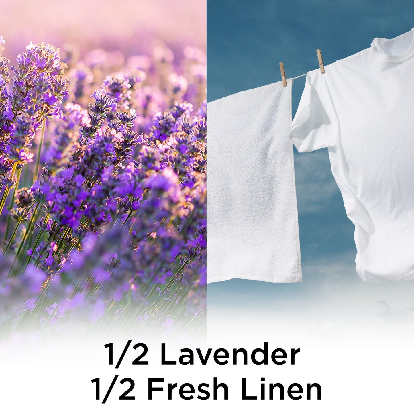 Air Wick Scented Oil Refill, Plug In Air Freshener, Fresh Linen and Lavender