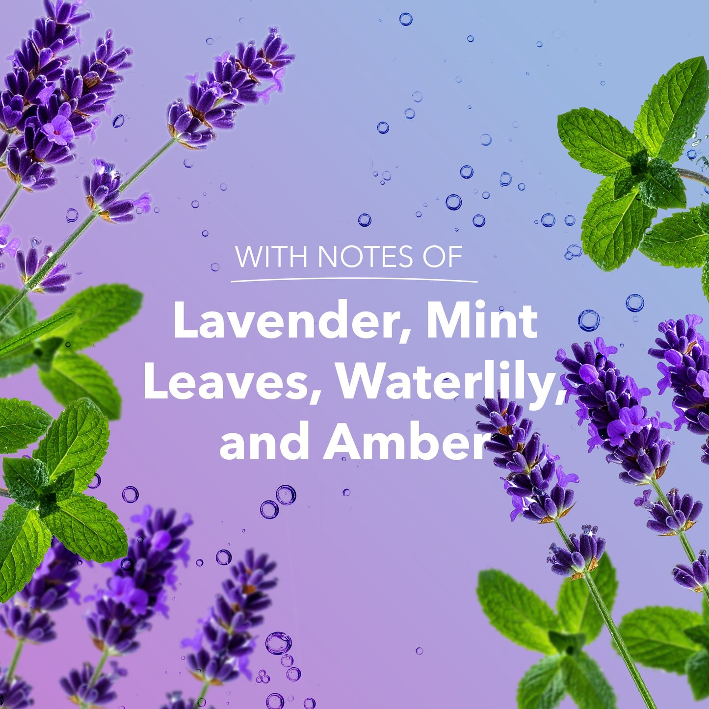 Safeguard Hydrating Hand Wash - Notes of Lavender