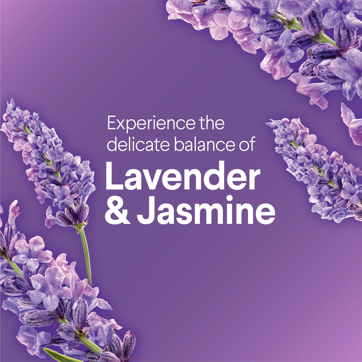 Clorox Scentiva Bleach Free Cleaning Wipes - Lavender & Jasmine