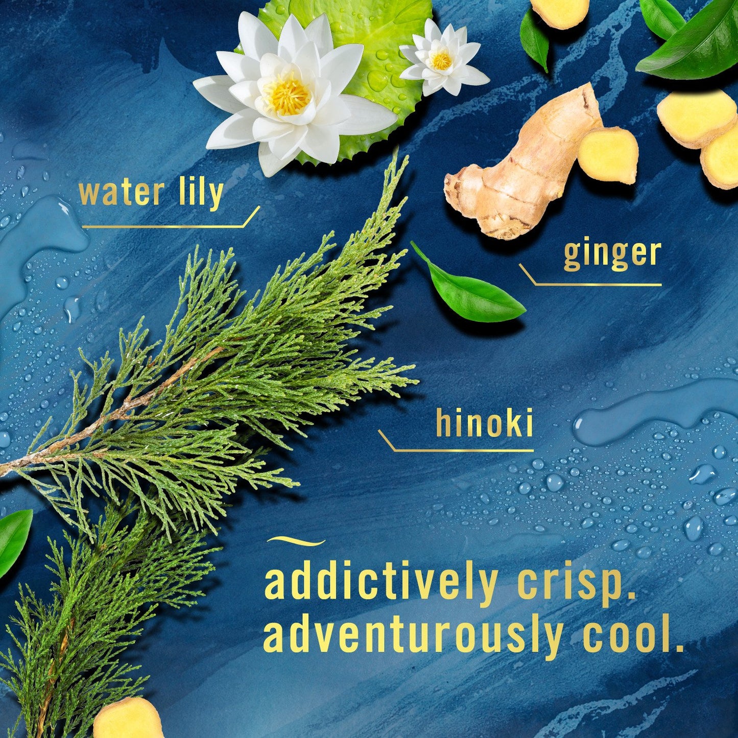 Febreze Bathroom Air Freshner - Ocean