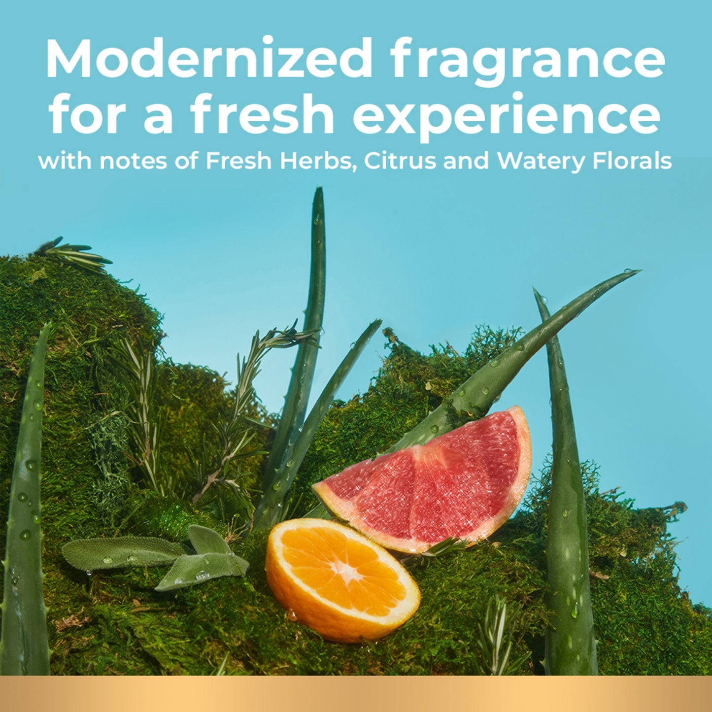Irish Spring Moisturizing Face + Body Wash - Aloe Mist