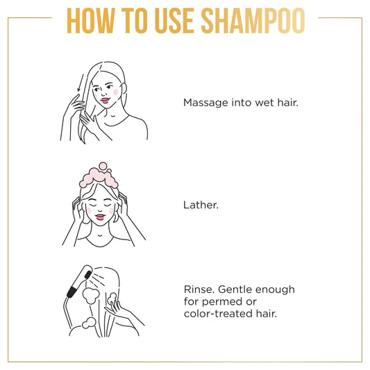 Pantene Pro-V Curl Perfection Shampoo