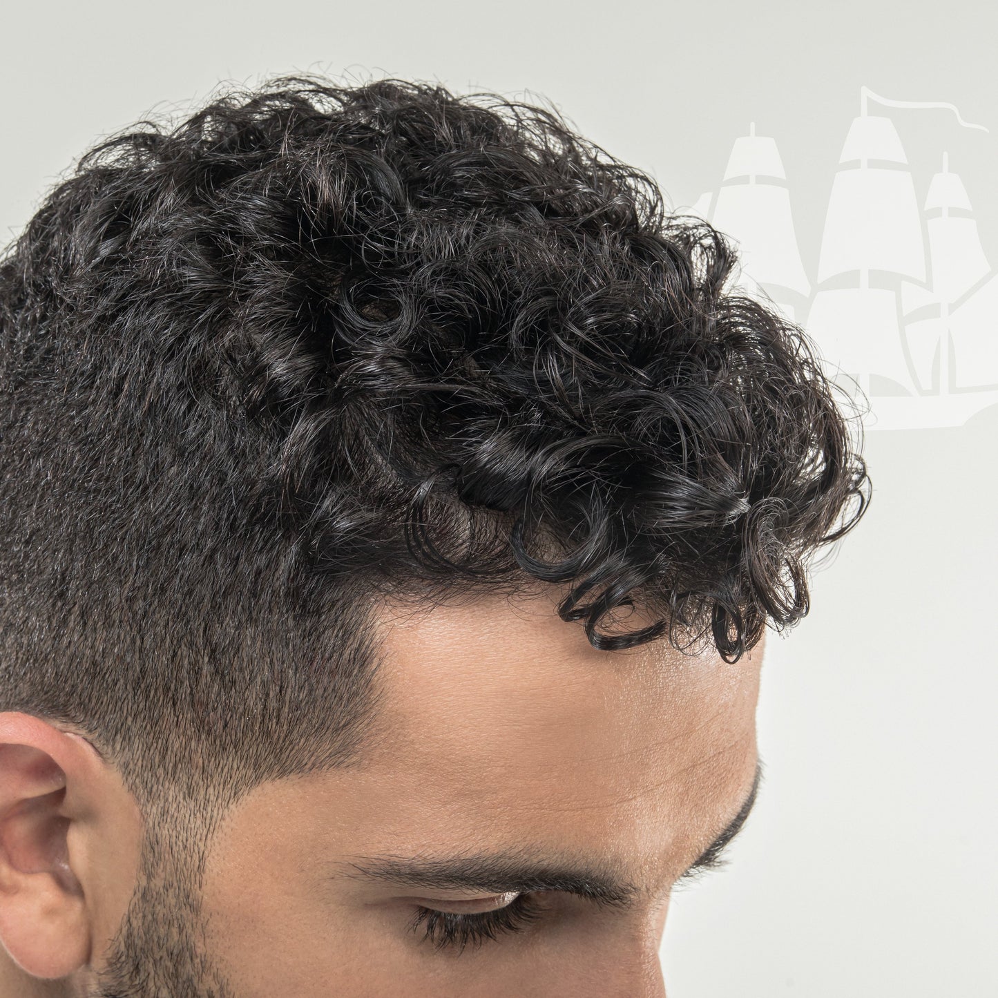 Old Spice Wavy Curly Shampoo - Aloe & Avocado Oil