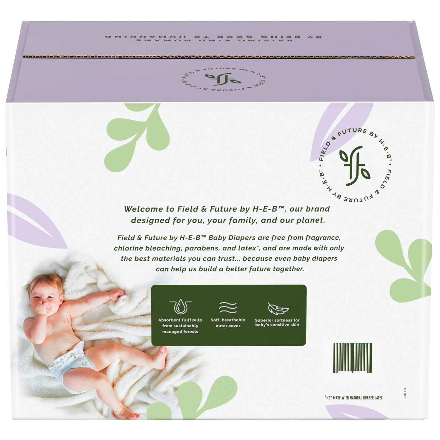 Field & Future by H-E-B Large Pack Baby Diapers - Size 6