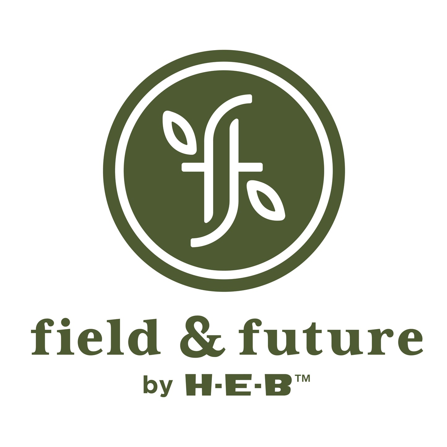 Field & Future by H-E-B Value Pack Baby Diapers  - Size 4