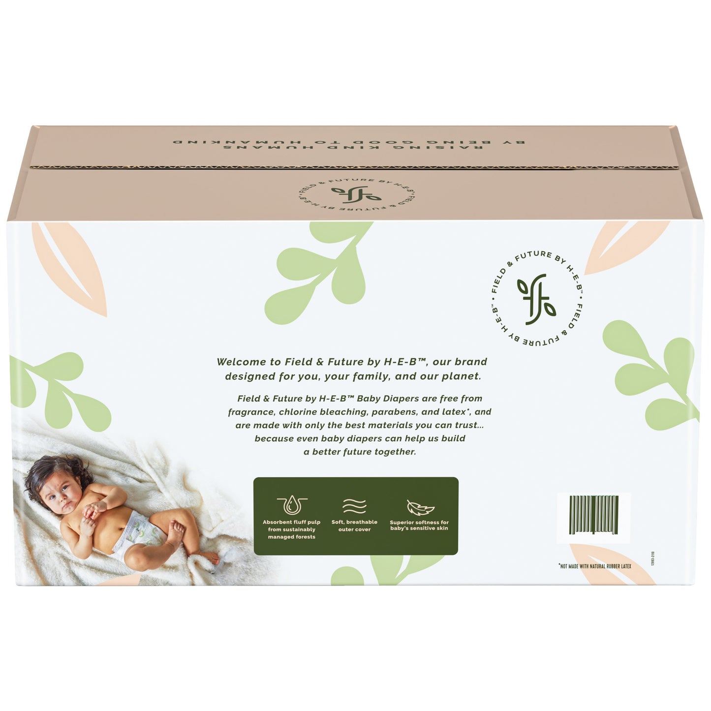 Field & Future by H-E-B Value Pack Baby Diapers - Size 2
