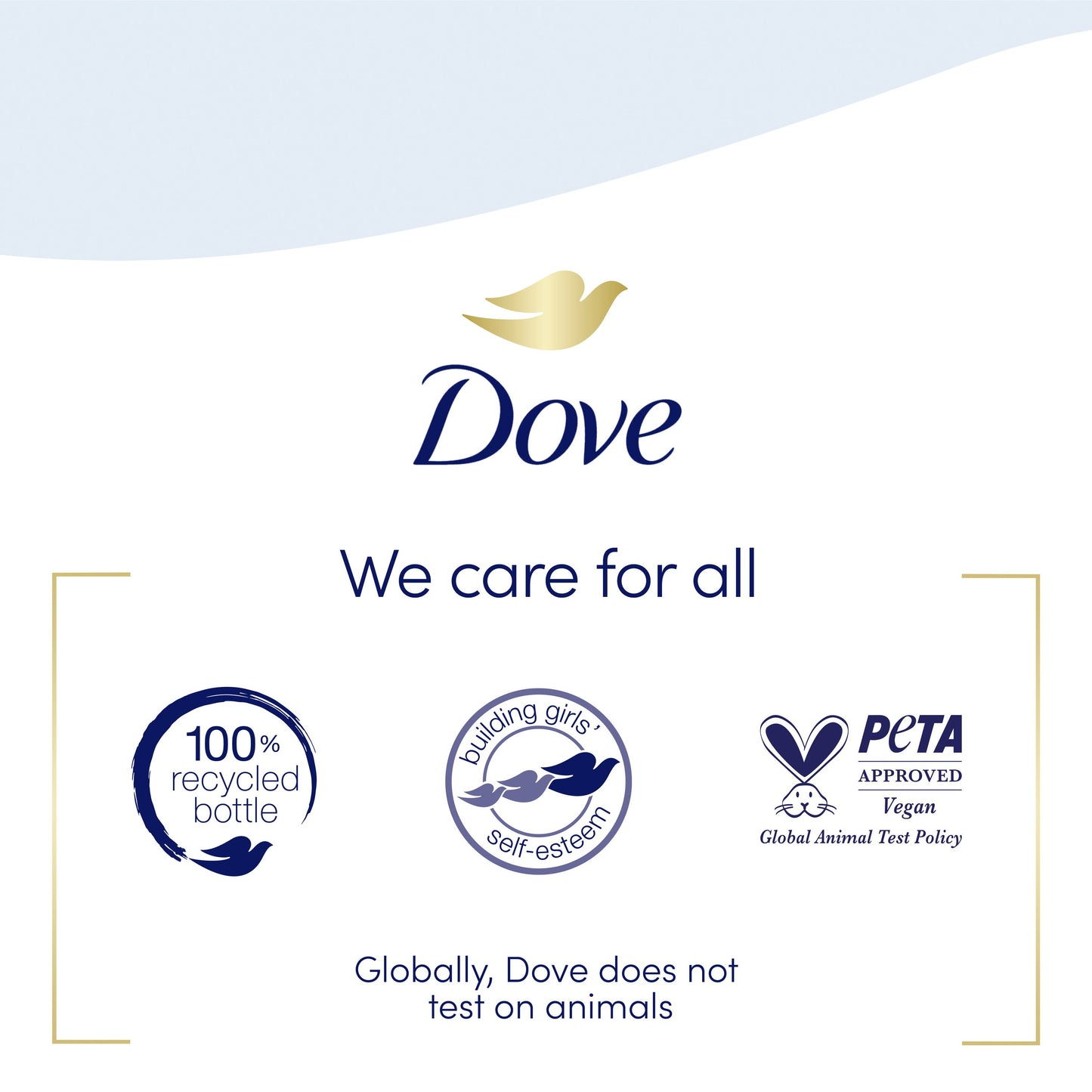 Dove Care & Protect Foaming Hand Wash