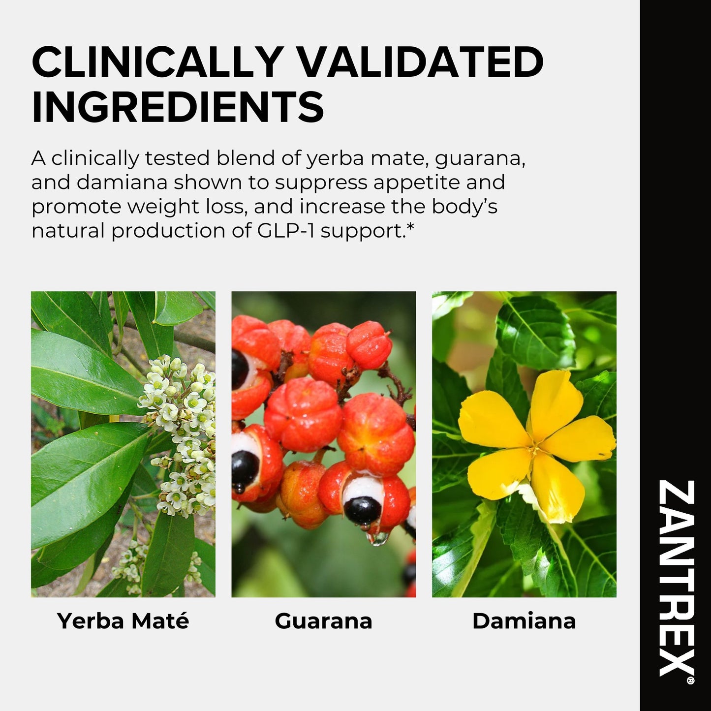 Zantrex Black Natural GLP-1 Support Supplement Softgels