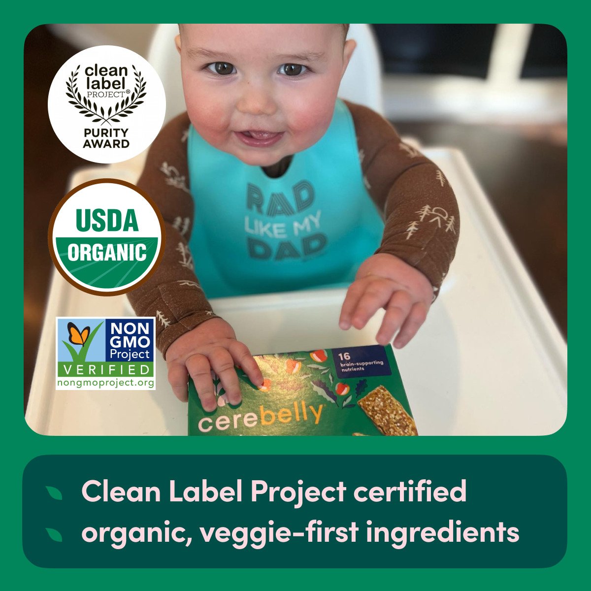 Cerebelly Organic Smart Bars - Apple & Kale