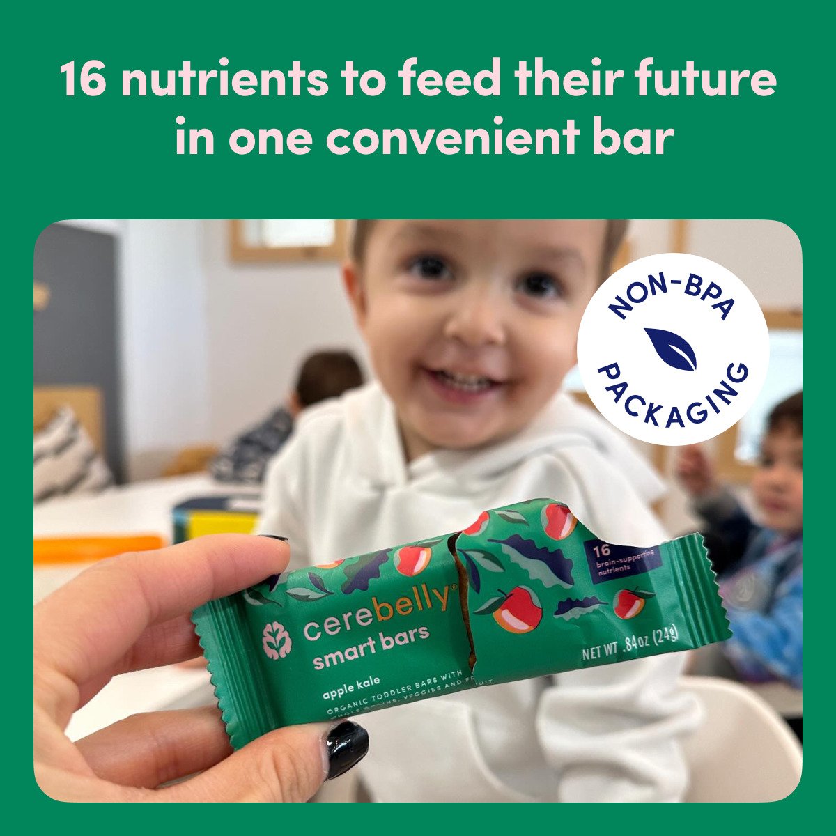 Cerebelly Organic Smart Bars - Apple & Kale