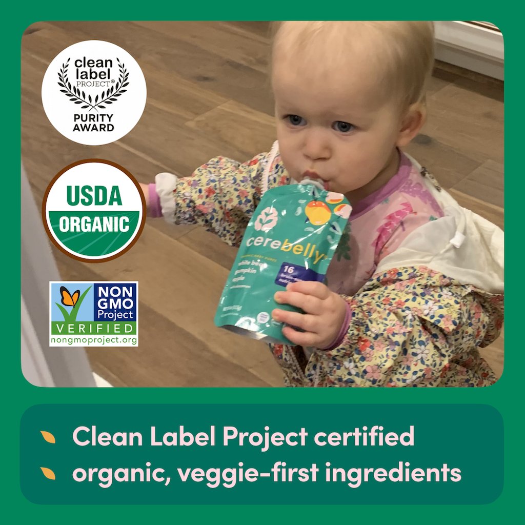 Cerebelly Organic Baby Puree Pouch - White Bean Pumpkin & Apple with Cinnamon