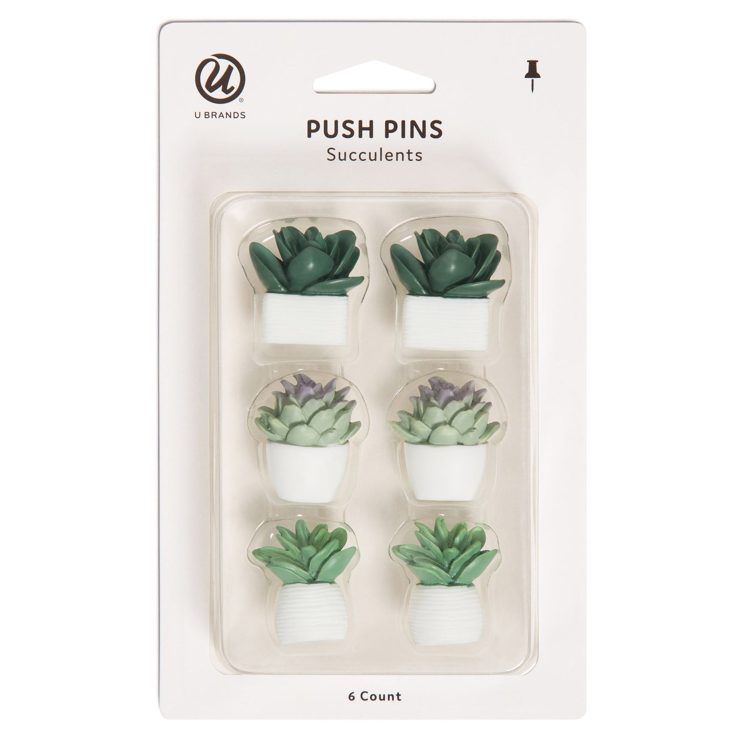 U Brands Push Pins - Potted Succulents