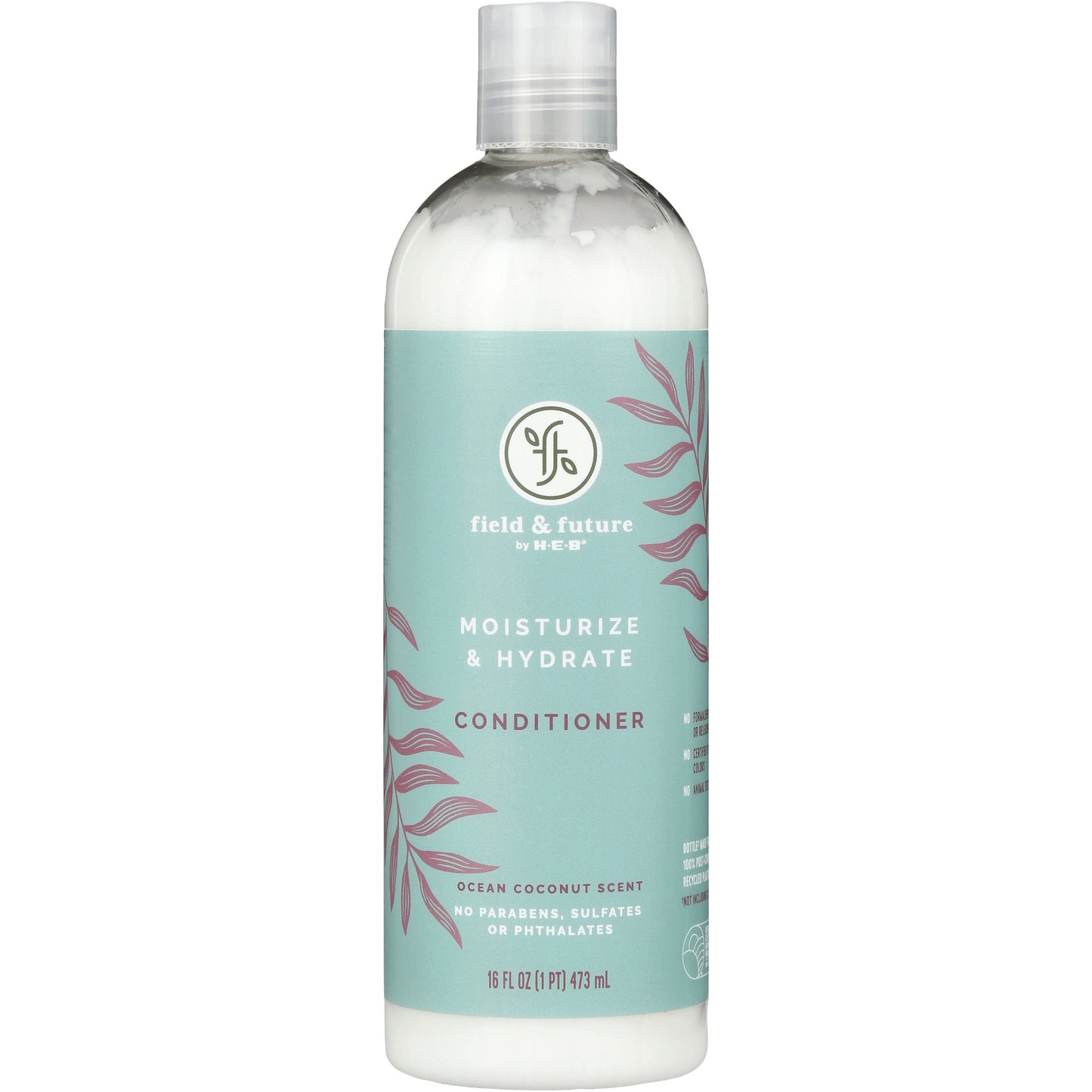 Field & Future by H-E-B Moisturize & Hydrate Hair Conditioner - Ocean Coconut
