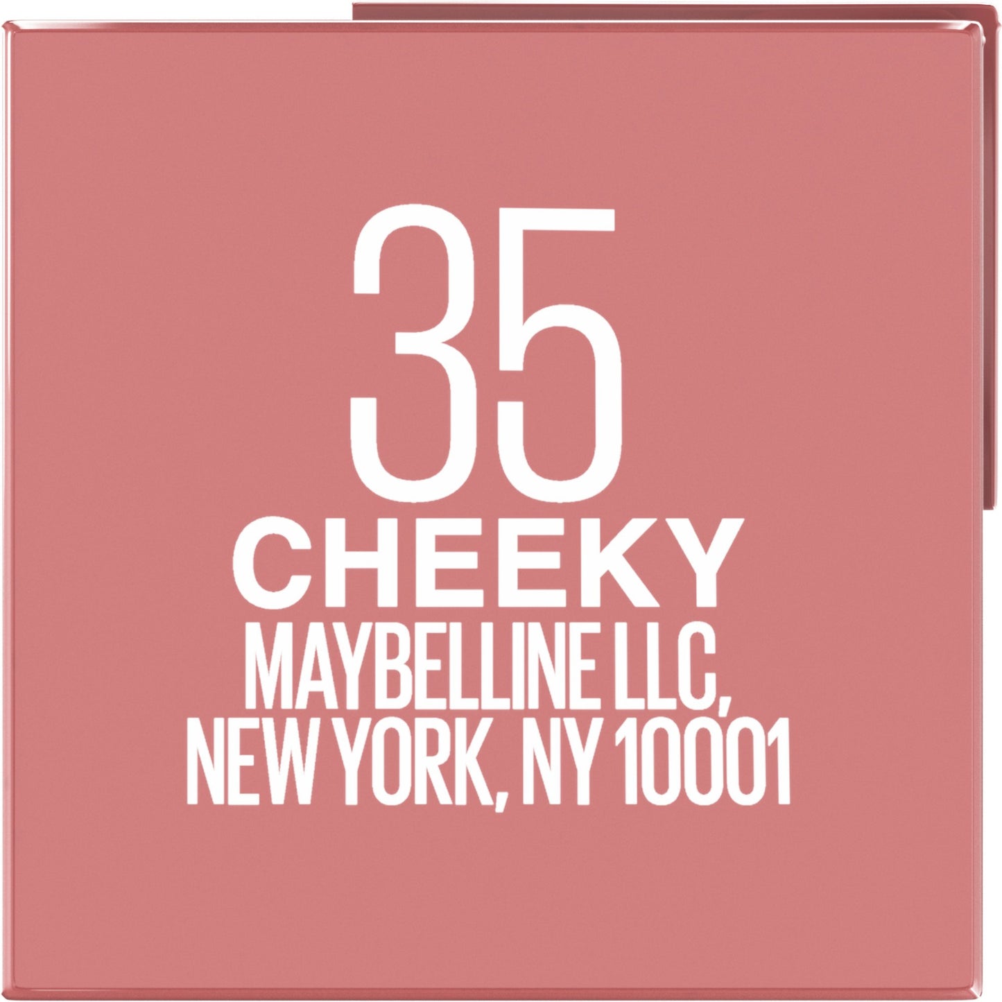 Maybelline Super Stay Vinyl Ink Liquid Lipcolor - Cheeky