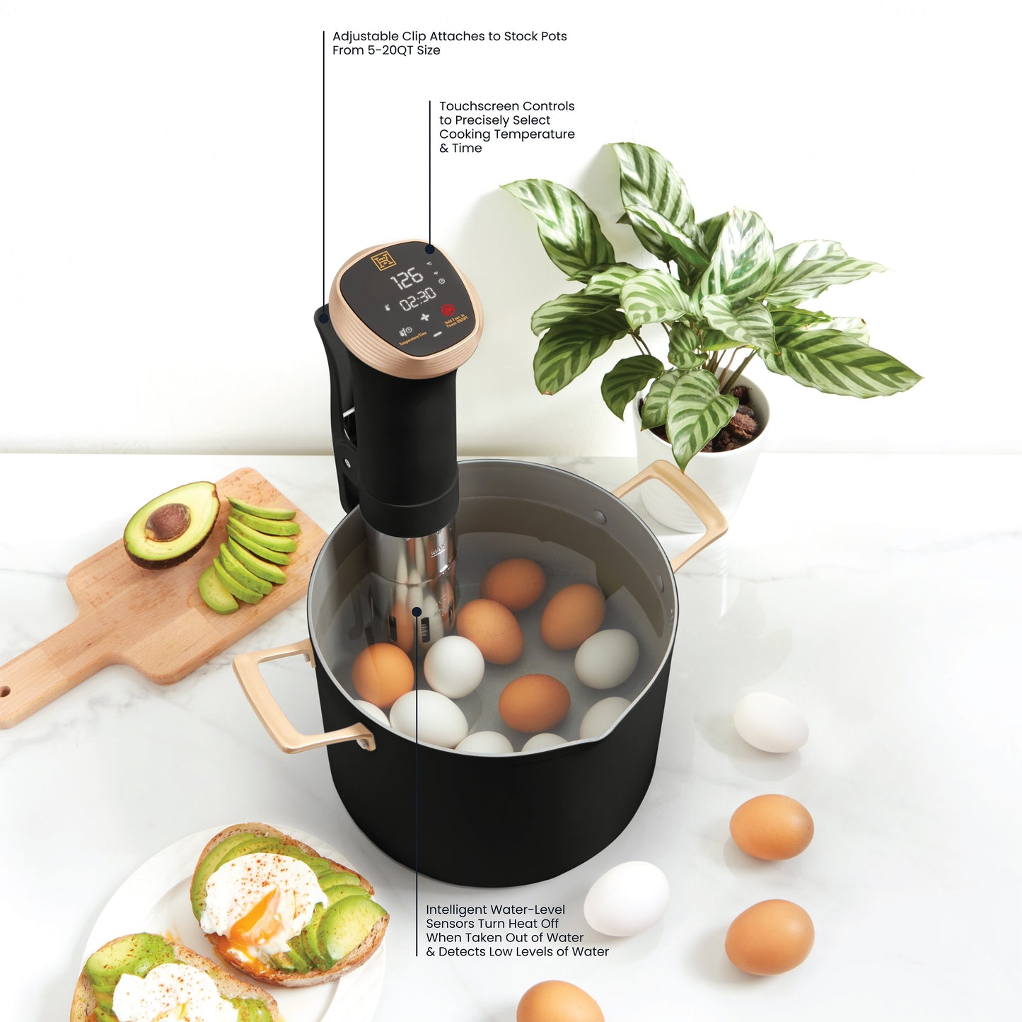 Kitchen & Table by H-E-B Sous Vide Precision Cooker - Classic Black