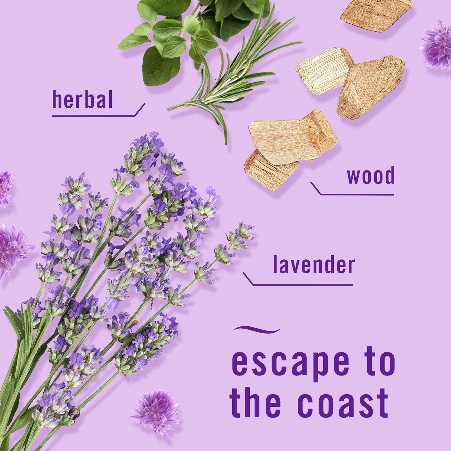 FEBREZE Plug Mediterranean Lavender Scented Oil Refills