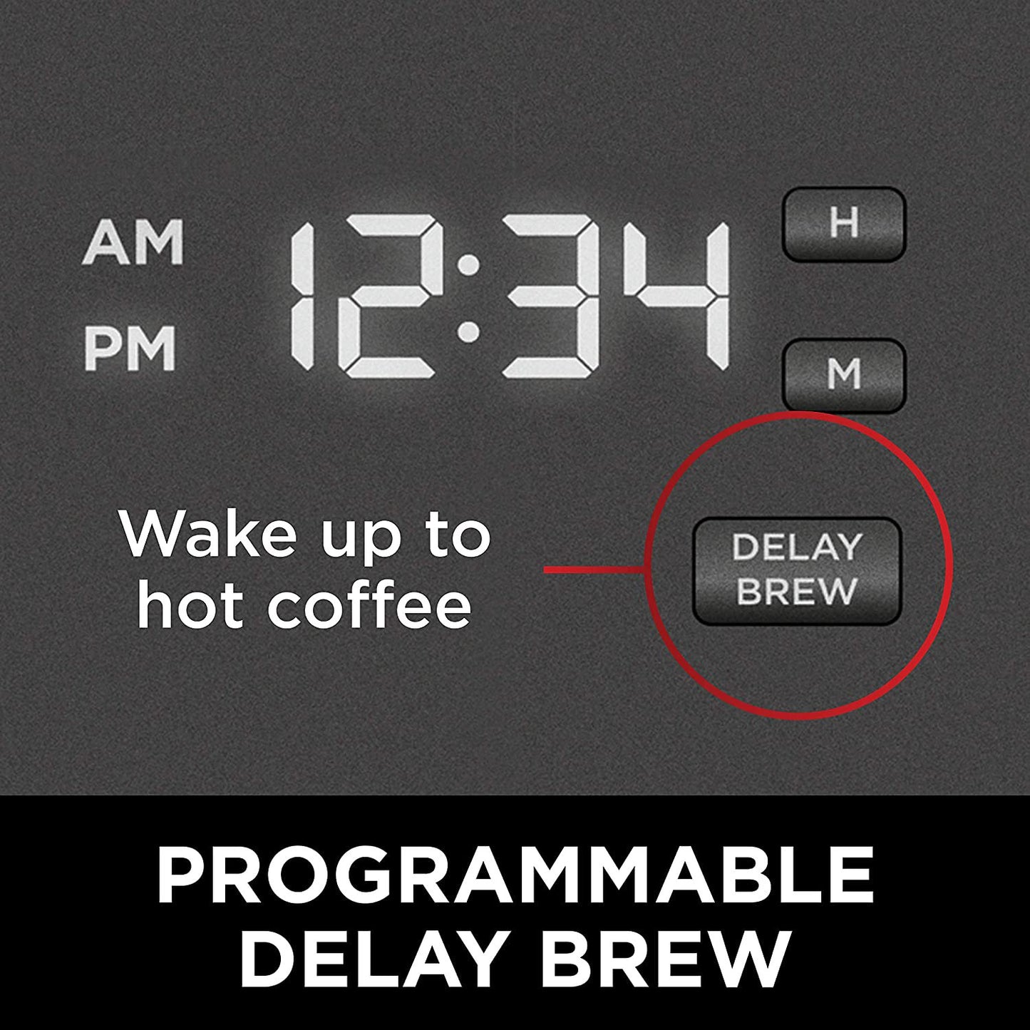 Ninja Programmable Coffee Brewer