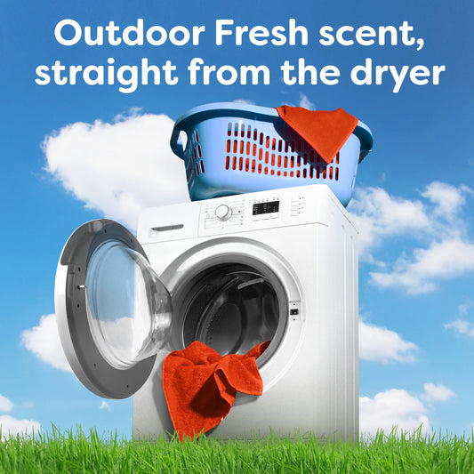 Bounce Fabric Softener Dryer Sheets - Outdoor Fresh