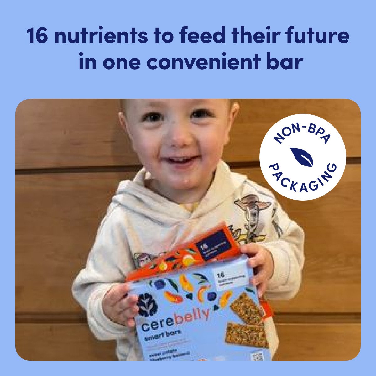 Cerebelly Organic Smart Bars - Sweet Potato Blueberry & Banana