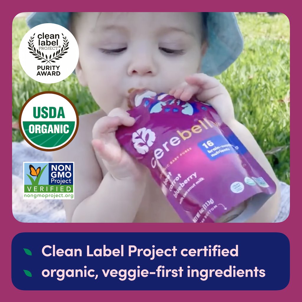 Cerebelly Organic Baby Puree Pouch - Beet Carrot Blueberry with Coconut Milk