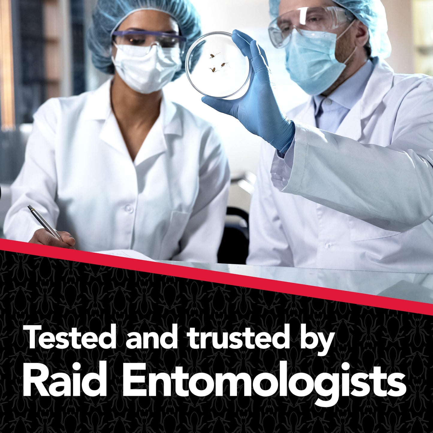 Raid MAX Liquid Ant Baits