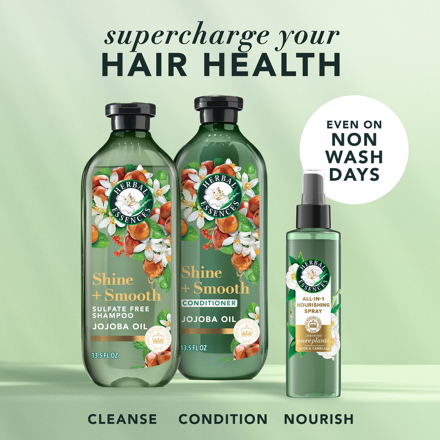 Herbal Essences Shine + Smooth Jojoba Oil Sulfate Free Conditioner, 13.5 fl oz