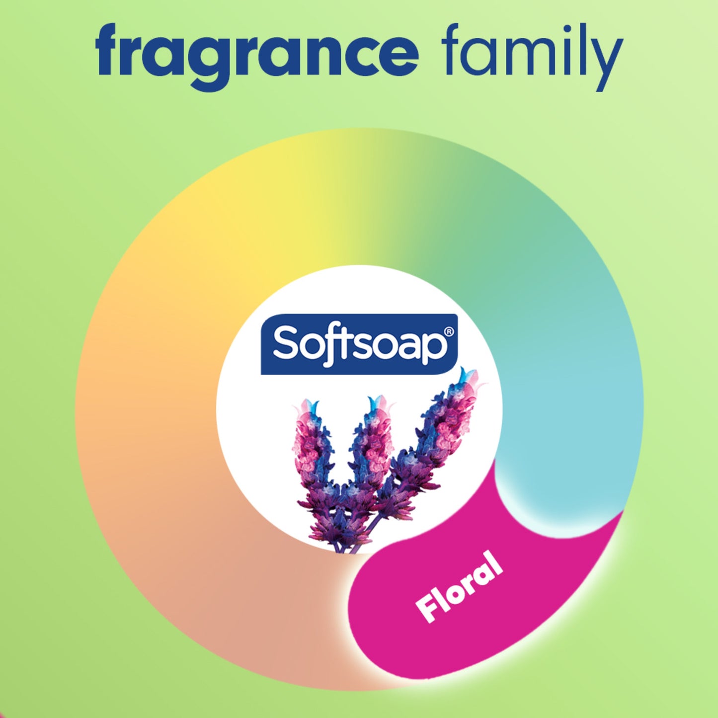 Softsoap Antibacterial Hand Soap - Rosewater & Aloe