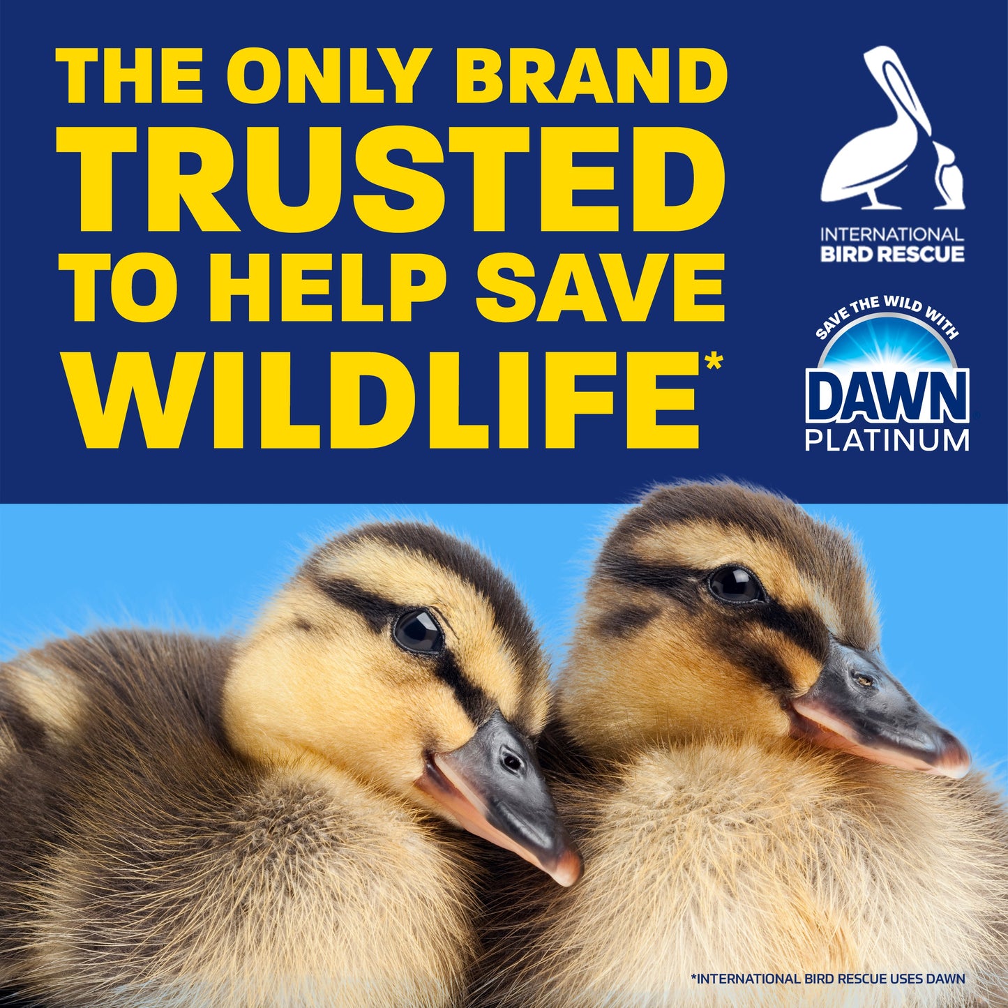 Dawn Platinum Ez-Squeeze Refreshing Rain Scent Liquid Dish Soap