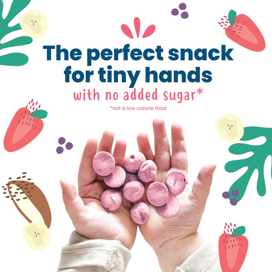 Amara Organic Smoothie Melts - Mixed Red Berries