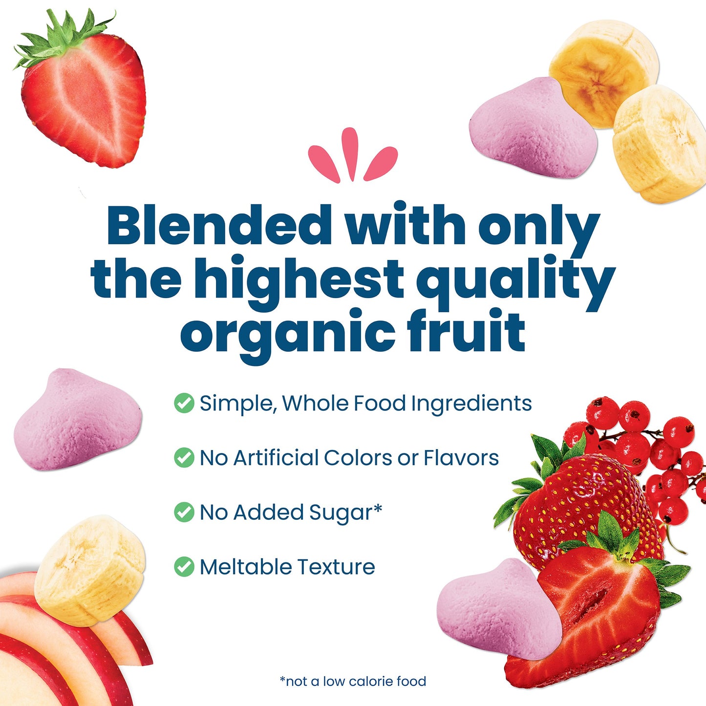 Amara Organic Smoothie Melts - Mixed Red Berries