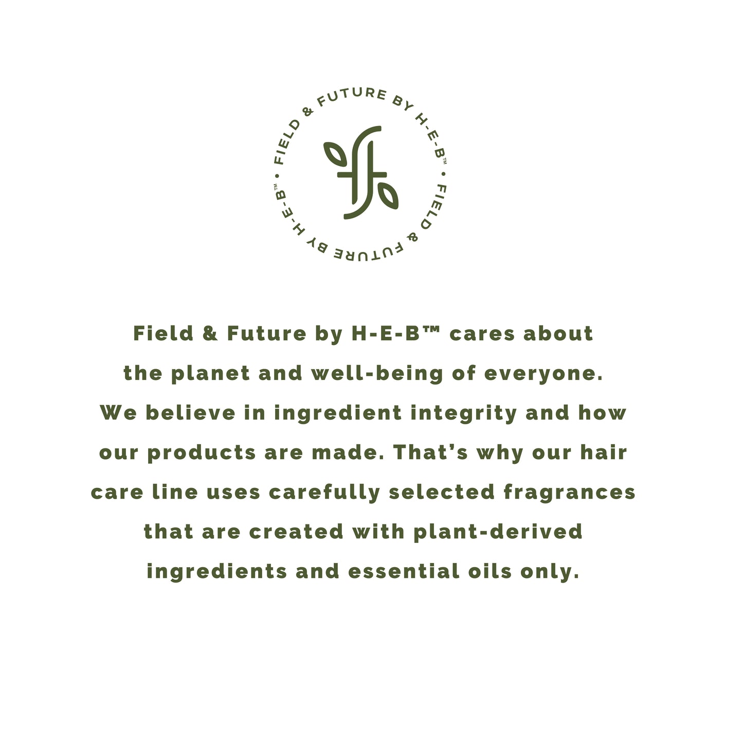 Field & Future by H-E-B Lightweight Dry Shampoo - Coconut