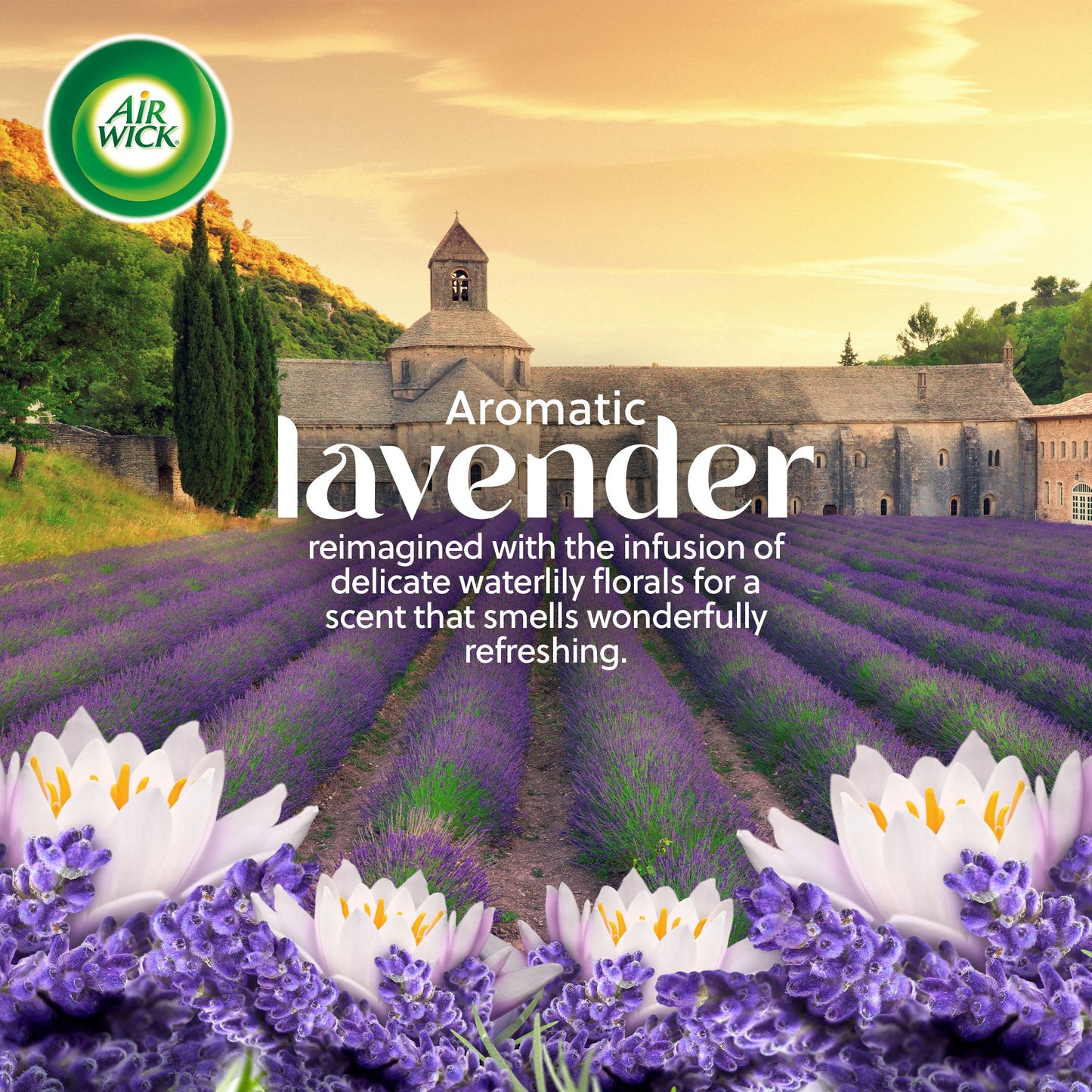 Air Wick Vibrant Scented Oil Refill, Plug In Air Freshener, Lavender