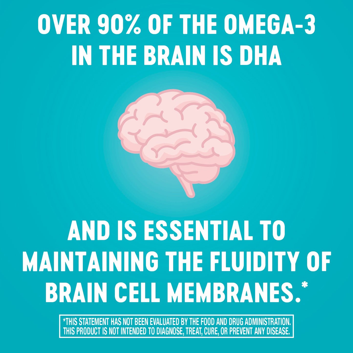H-E-B Vitamins Algal-900 DHA Softgels