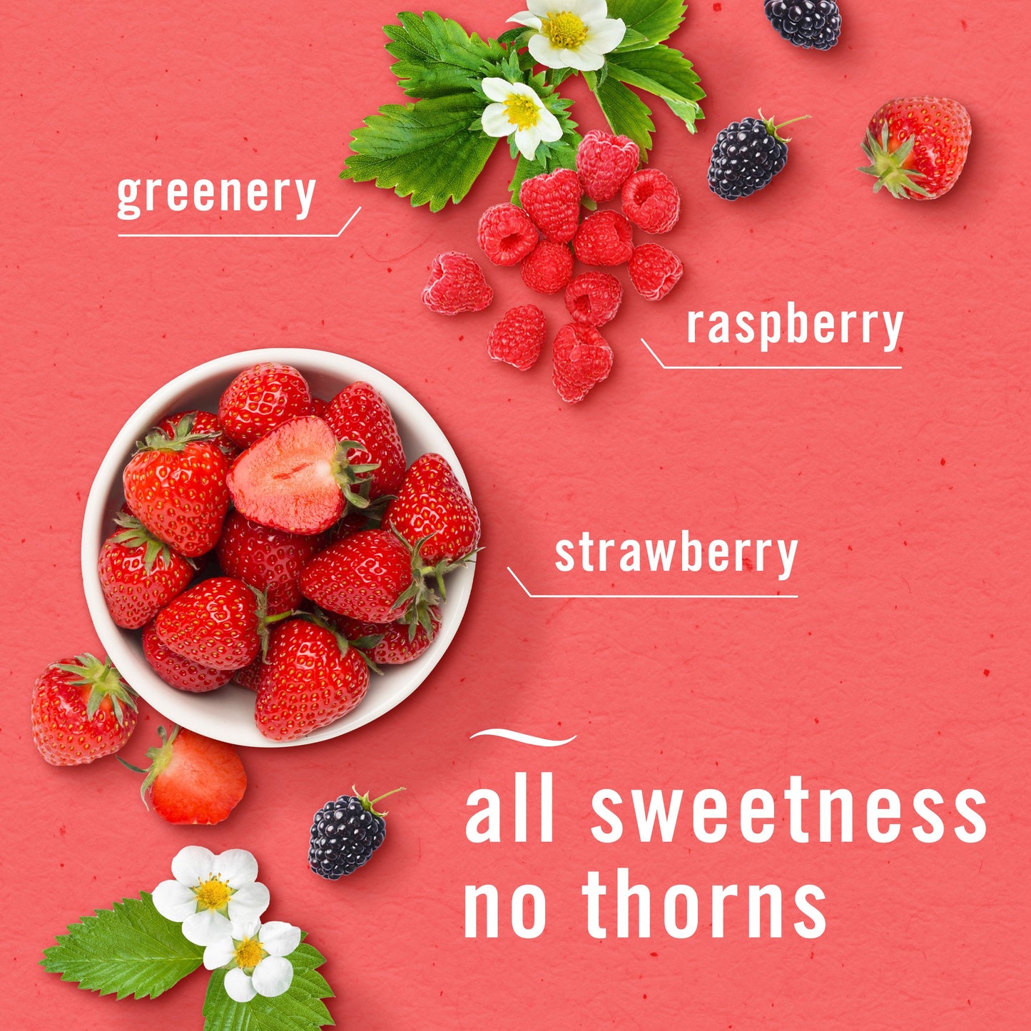Febreze Bathroom Air Freshner - Berry & Bramble