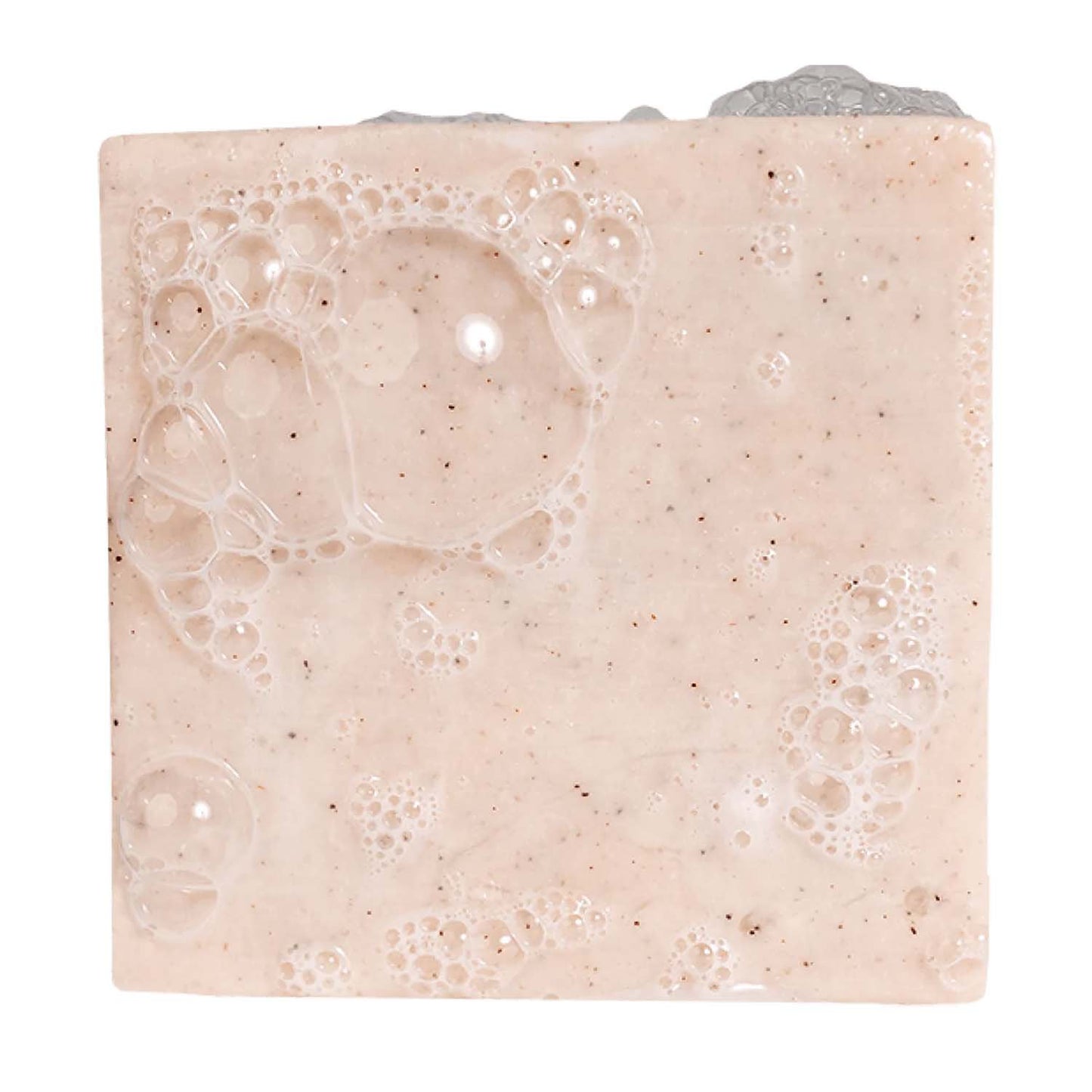 Dr. Squatch Men's Natural Soap Bar - Birchwood Breeze