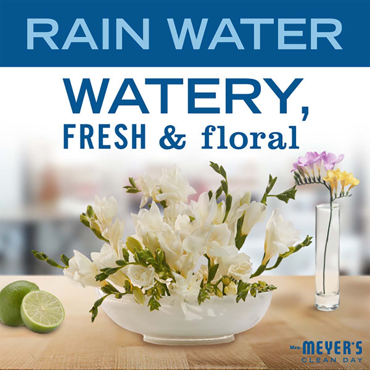 Mrs. Meyer's Clean Day Rainwater Dish Soap Refill