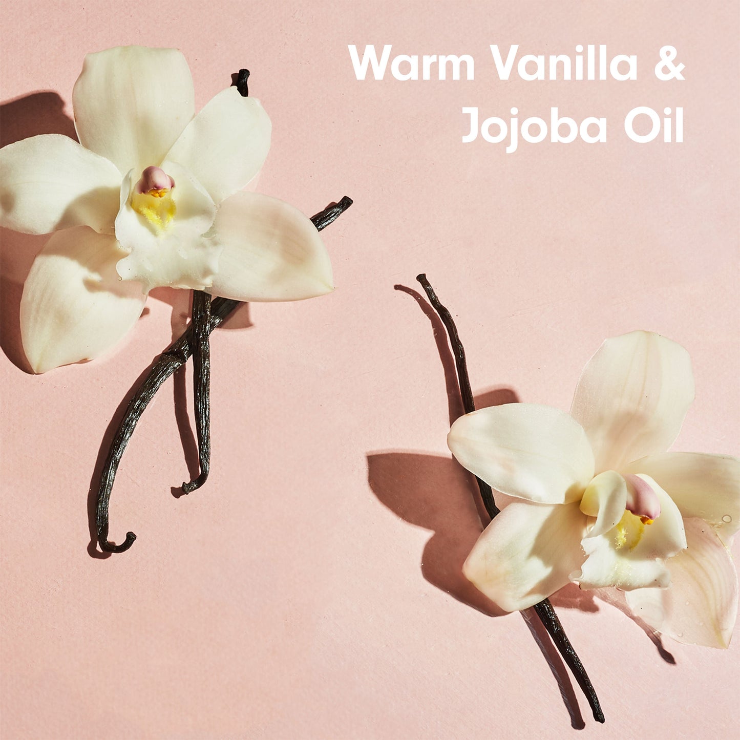 Softsoap Moisturizing Body Wash - Warm Vanilla & Jojoba Oil
