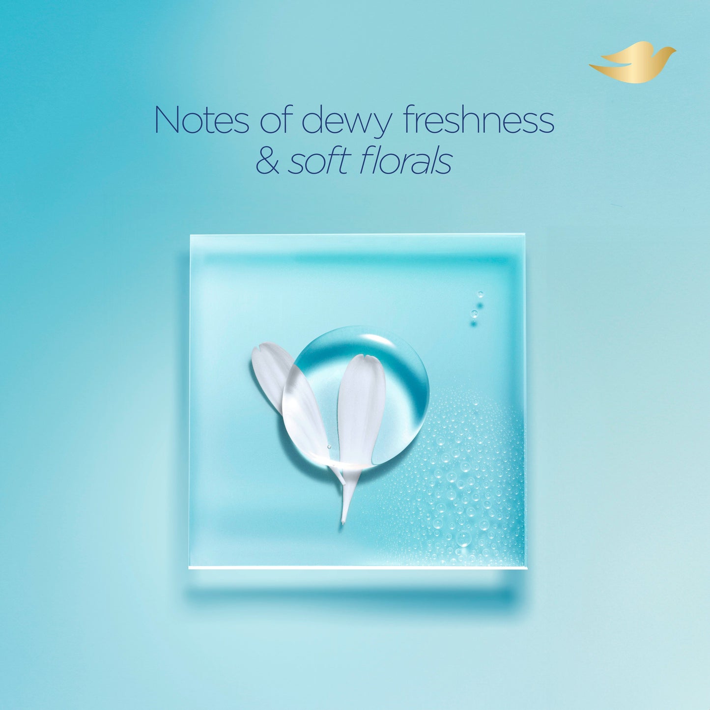 Dove Hydration Boost Body Wash