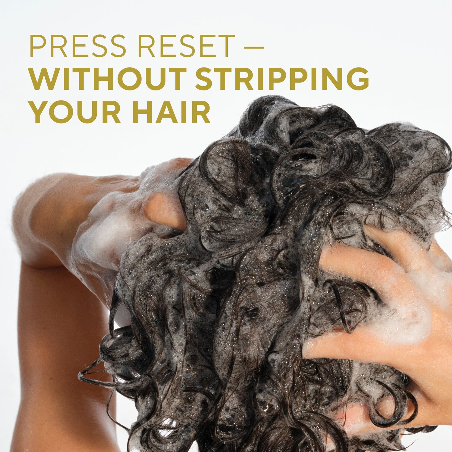 Native Curl Care Shampoo - Coconut Milk & Turmeric