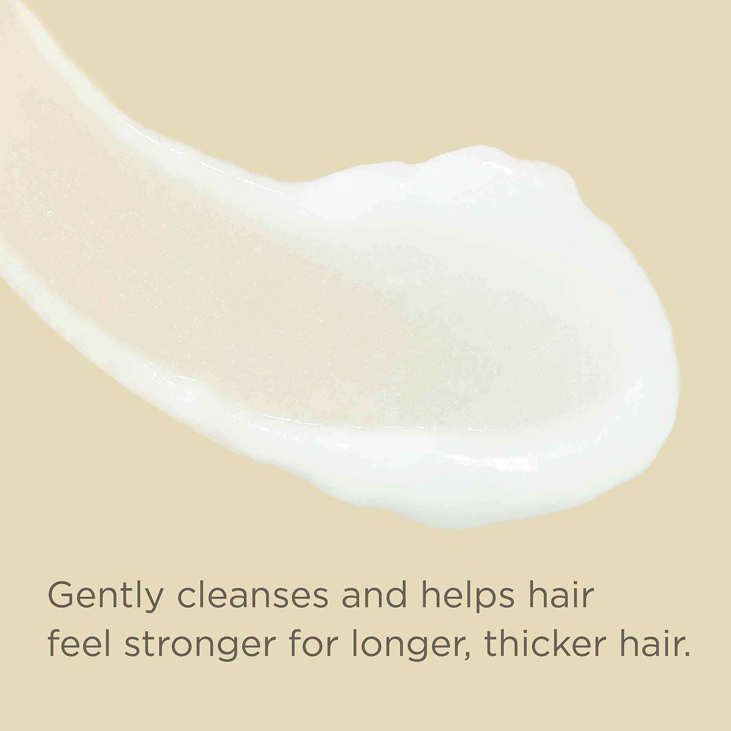 Hairitage Length Check! Biotin Infused Shampoo