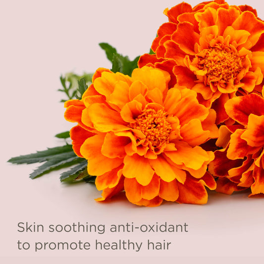 Hairitage Restart Button Scalp Exfoliator