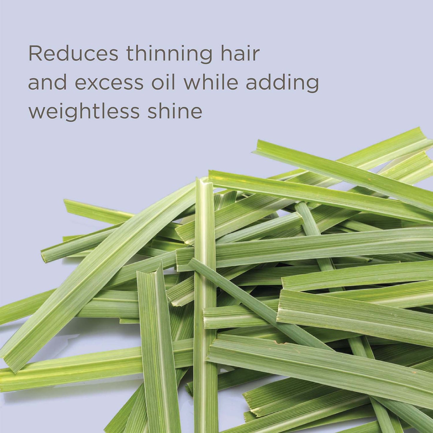 Hairitage Ahead of the Curl! Curl Crème