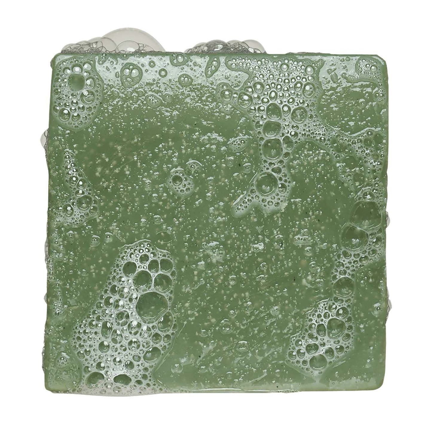 Dr. Squatch Men's Natural Bar Soap - Rainforest Rapids