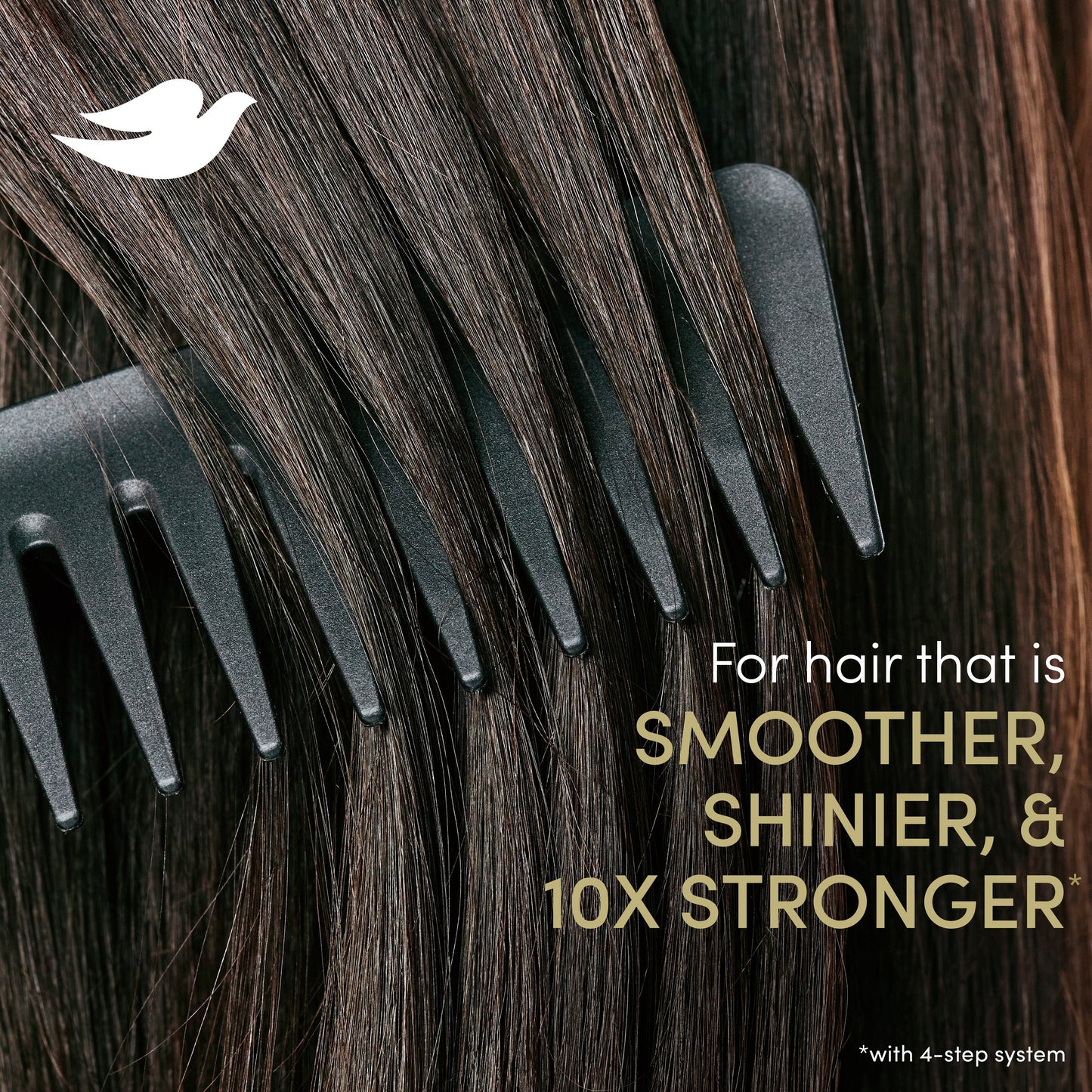 Dove Shampoo Bond Strength