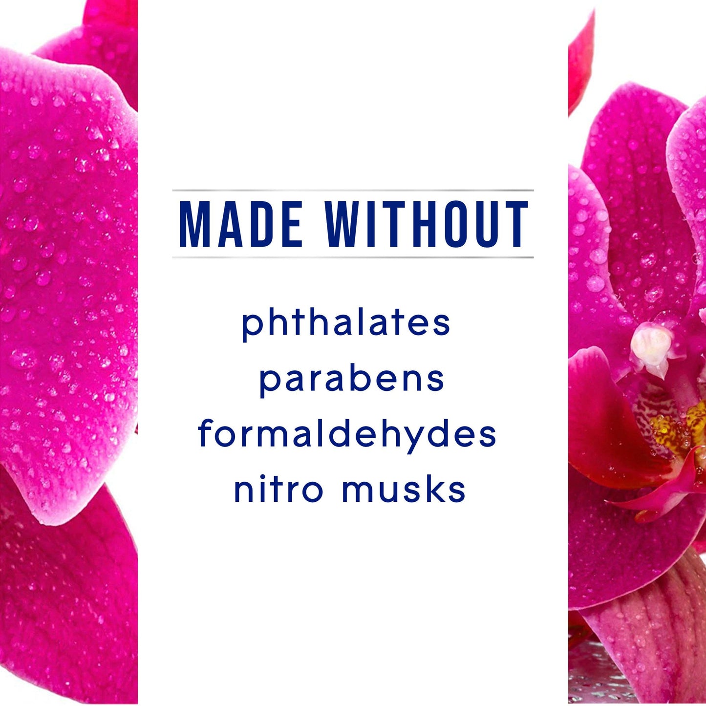 Glade Automatic Spray Air Freshener Refill - Orchid & Neroli