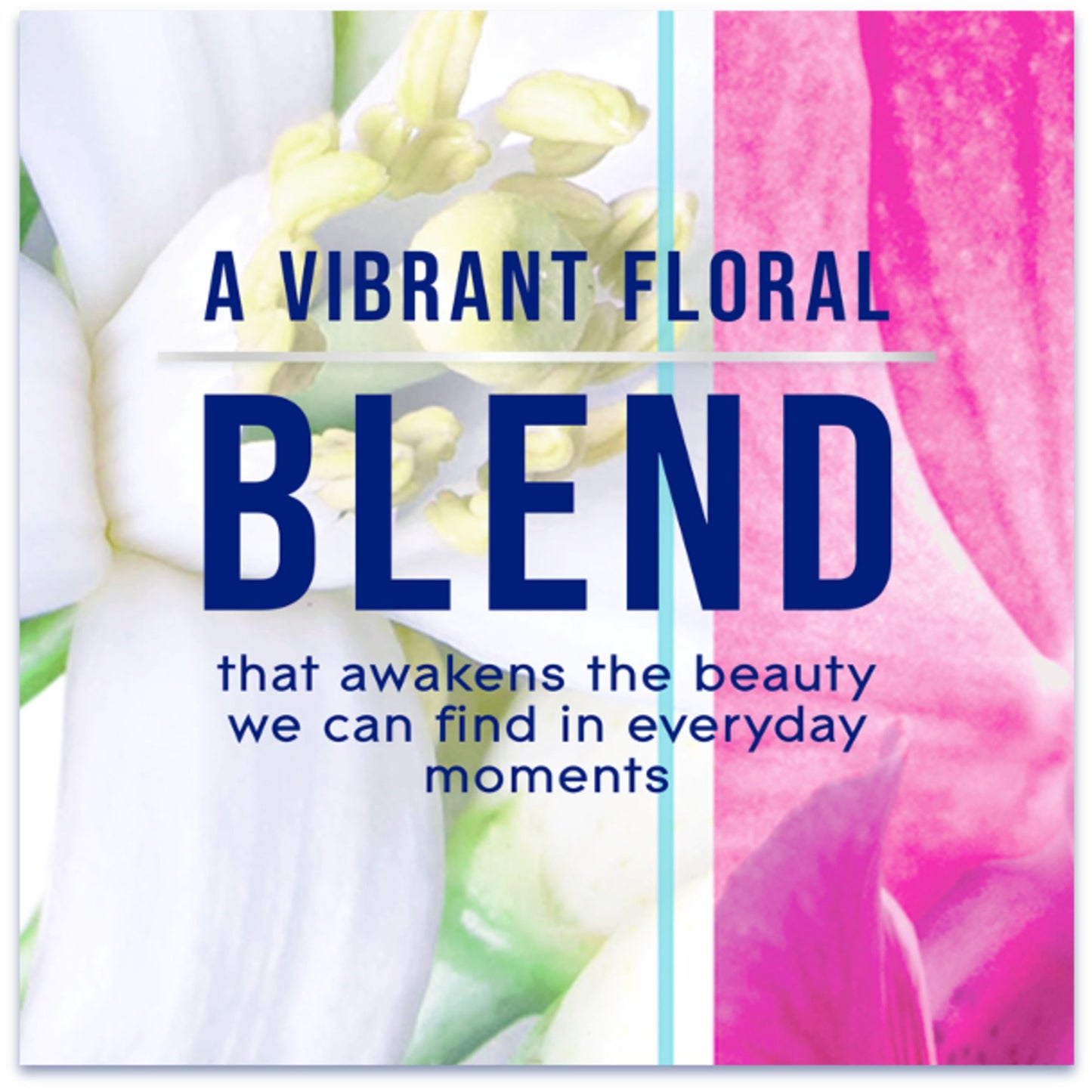 Glade Automatic Spray Air Freshener Refill - Orchid & Neroli