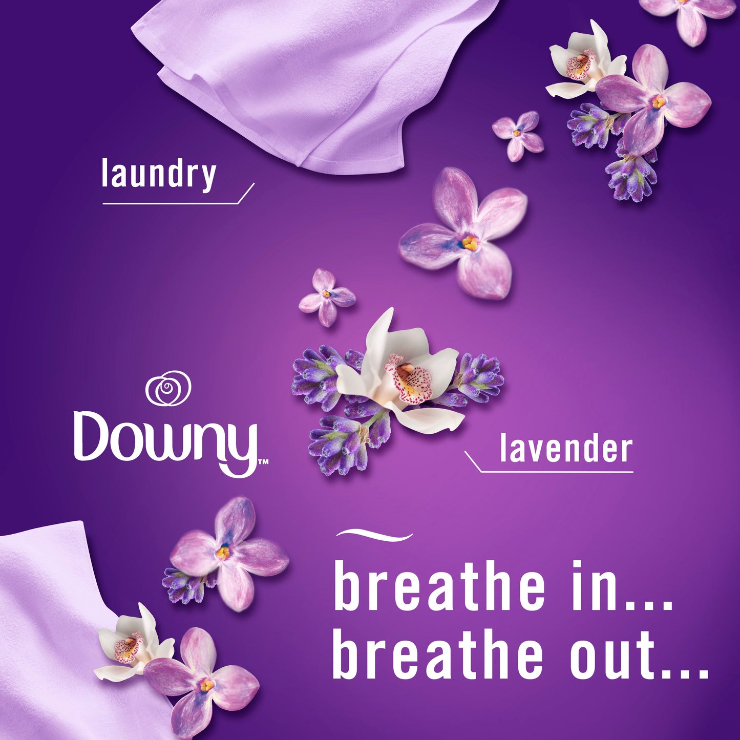 Febreze Plug In Air Freshener, Odor-Fighting Scented Oil Refill, Downy Calm Scent